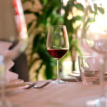 Domus & 4* Shëngjin